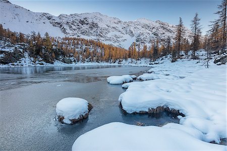 simsearch:6119-09238667,k - Red larches frame the frozen Lake Mufule, Malenco Valley, Province of Sondrio, Valtellina, Lombardy, Italy, Europe Foto de stock - Sin royalties Premium, Código: 6119-09074023