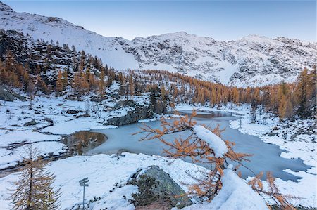 province of sondrio - Red larches frame the frozen Lake Mufule, Malenco Valley, Province of Sondrio, Valtellina, Lombardy, Italy, Europe Stockbilder - Premium RF Lizenzfrei, Bildnummer: 6119-09074022