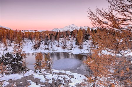 province of sondrio - Pink sky at sunrise frames the frozen Lake Mufule surrounded by woods, Malenco Valley, Province of Sondrio, Valtellina, Lombardy, Italy, Europe Photographie de stock - Premium Libres de Droits, Code: 6119-09074027