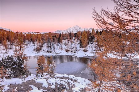 province of sondrio - Pink sky at sunrise frames the frozen Lake Mufule surrounded by woods, Malenco Valley, Province of Sondrio, Valtellina, Lombardy, Italy, Europe Stock Photo - Premium Royalty-Free, Code: 6119-09074027