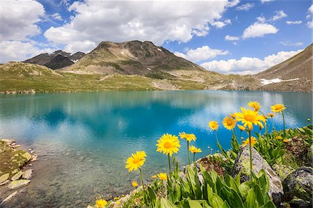 simsearch:685-03082036,k - Turquoise lake framed by yellow flowers and rocky peaks, Joriseen, Jorifless Pass, canton of Graubunden, Engadine, Switzerland, Europe Foto de stock - Sin royalties Premium, Código: 6119-09074149