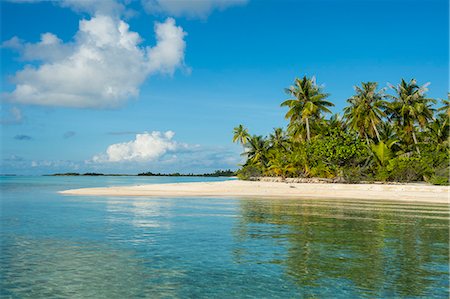 sandy beach - Beautiful palm fringed white sand beach in the turquoise waters of Tikehau, Tuamotus, French Polynesia, Pacific Stock Photo - Premium Royalty-Free, Code: 6119-09074242