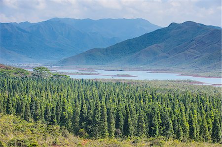 View over the Blue River Provincial Park, Yate, New Caledonia, Pacific Photographie de stock - Premium Libres de Droits, Code: 6119-09074225