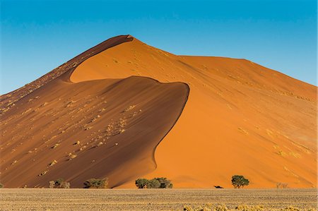 sossusvlei - Giant Sand Dune 45, Sossusvlei, Namib-Naukluft National Park, Namibia, Africa Photographie de stock - Premium Libres de Droits, Code: 6119-09074305