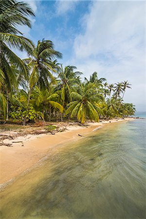 simsearch:6119-09074242,k - Beautiful palm fringed beach, Achutupu, San Blas Islands, Kuna Yala, Panama, Central America Stock Photo - Premium Royalty-Free, Code: 6119-09074336