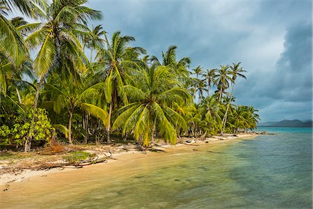 san blas islands - Beautiful palm fringed beach, Achutupu, San Blas Islands, Kuna Yala, Panama, Central America Foto de stock - Sin royalties Premium, Código: 6119-09074339