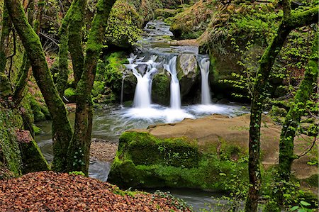 rocky waterfall - Forest brook, Schiessendumpel, Mullerthal, Luxembourg, Europe Stock Photo - Premium Royalty-Free, Code: 6119-09074692