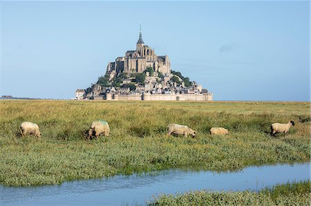 simsearch:879-09033311,k - Sheep grazing with the village in the background, Mont-Saint-Michel, UNESCO World Heritage Site, Normandy, France, Europe Photographie de stock - Premium Libres de Droits, Code: 6119-09074615