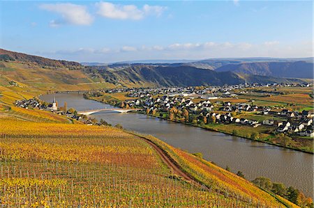 Vineyards near Piesport, Moselle Valley, Rhineland-Palatinate, Germany, Europe Stockbilder - Premium RF Lizenzfrei, Bildnummer: 6119-09074718