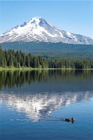 Mount Hood, part of the Cascade Range, perfectly reflected in the still waters of Trillium Lake, Oregon, United States of America, North America Foto de stock - Royalty Free Premium, Número: 6119-09074851