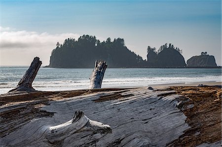 estado de washington - James Island with driftwood on the beach at La Push on the Pacific Northwest coast, Washington State, United States of America, North America Foto de stock - Sin royalties Premium, Código: 6119-09074862