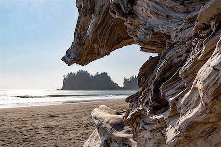 promontorio - Headland at La Push Beach in the the Pacific Northwest, Washington State, United States of America, North America Foto de stock - Sin royalties Premium, Código: 6119-09074864