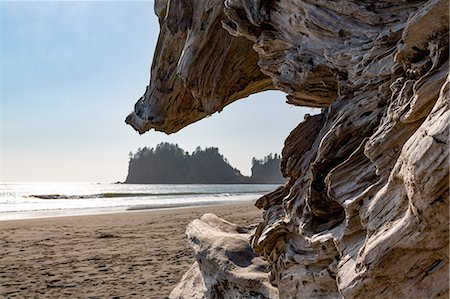 Headland at La Push Beach in the the Pacific Northwest, Washington State, United States of America, North America Stock Photo - Premium Royalty-Free, Code: 6119-09074864