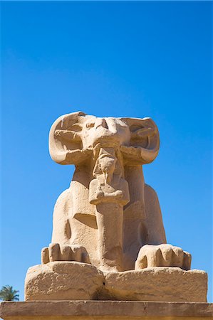 simsearch:851-02959588,k - Avenue of Sphinxes, Luxor Temple, UNESCO World Heritage Site, Luxor, Egypt, North Africa, Africa Stockbilder - Premium RF Lizenzfrei, Bildnummer: 6119-09085440