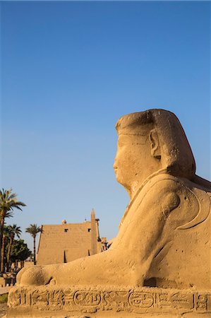 Avenue of Sphinxes, Luxor Temple, UNESCO World Heritage Site, Luxor, Egypt, North Africa, Africa Photographie de stock - Premium Libres de Droits, Code: 6119-09085447