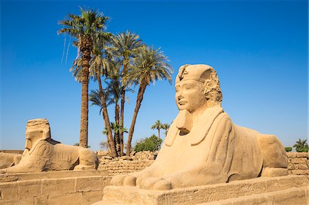 simsearch:862-03352717,k - Avenue of Sphinxes, Luxor Temple, UNESCO World Heritage Site, Luxor, Egypt, North Africa, Africa Stockbilder - Premium RF Lizenzfrei, Bildnummer: 6119-09085449