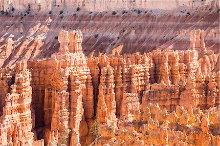 View of hoodoo formations from the Navajo Loop Trail in Bryce Canyon National Park, Utah, United States of America, North America Photographie de stock - Premium Libres de Droits, Code: 6119-09085467