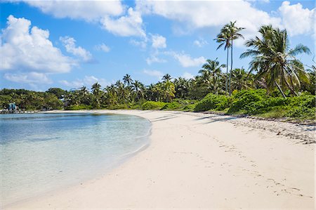 simsearch:6119-07451094,k - Tihiti Beach, Elbow Cay, Abaco Islands, Bahamas, West Indies, Central America Photographie de stock - Premium Libres de Droits, Code: 6119-09085409