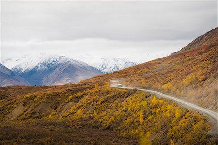 Camper buses driving into the heart of Denali National Park, Alaska, United States of America, North America Stockbilder - Premium RF Lizenzfrei, Bildnummer: 6119-09085642