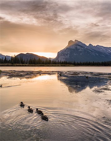 simsearch:841-08438741,k - Morning landscape in the Vermilion Lakes, Banff National Park, UNESCO World Heritage Site, Canadian Rockies, Alberta, Canada, North America Photographie de stock - Premium Libres de Droits, Code: 6119-09085656