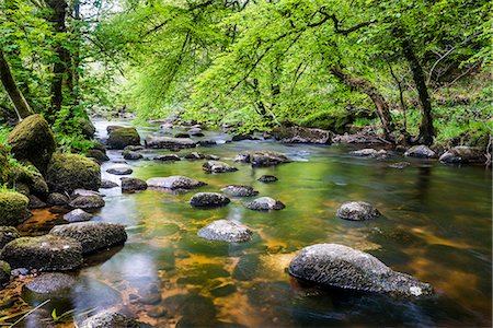 River in Dartmoor, Devon, England, United Kingdom, Europe Photographie de stock - Premium Libres de Droits, Code: 6119-09147284