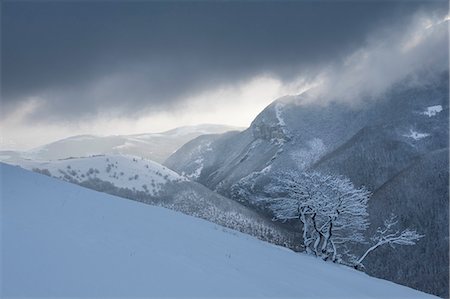 simsearch:6119-09074009,k - Winter in the Apennines, Motette, Umbria, Italy, Europe Stock Photo - Premium Royalty-Free, Code: 6119-09147225