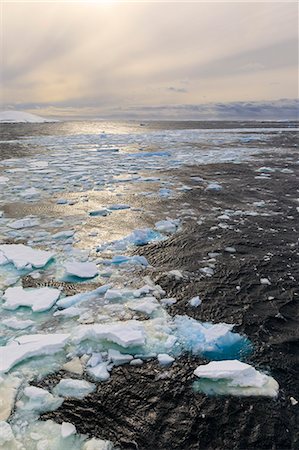 Ripples and sea ice, evening light, off Booth Island, entrance to Lemaire Channel, Antarctic Peninsula, Antarctica, Polar Regions Foto de stock - Sin royalties Premium, Código: 6119-09156444
