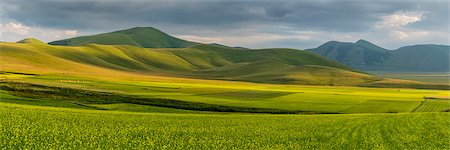 simsearch:6119-09156483,k - Fields of flowering lentils on the Piano Grande, Monti Sibillini National Park, Perigua District, Umbria, Italy, Europe Foto de stock - Sin royalties Premium, Código: 6119-09156468