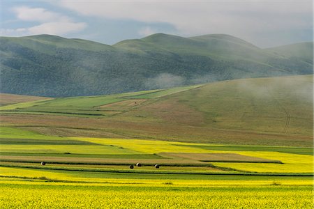 simsearch:6119-09156483,k - Fields of flowering lentils on the Piano Grande, Monti Sibillini National Park, Perigua District, Umbria, Italy, Europe Foto de stock - Sin royalties Premium, Código: 6119-09156481