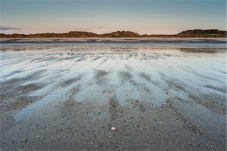 simsearch:400-06761996,k - Oxwich beach at low tide at dawn, Gower Peninsula, South Wales, United Kingdom, Europe Foto de stock - Sin royalties Premium, Código: 6119-09156486