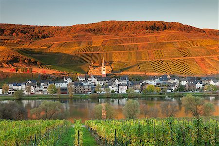 View of Merl district, Moselle Valley, Zell an der Mosel, Rhineland-Palatinate, Germany, Europe Foto de stock - Sin royalties Premium, Código: 6119-09156420