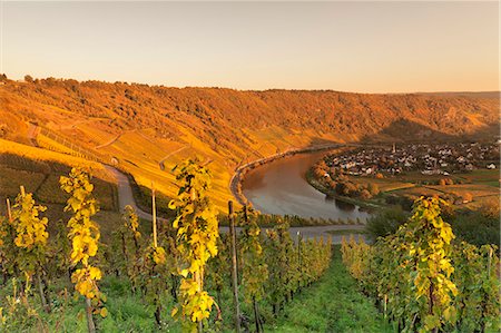 Loop of Moselle River at sunset near the town of Kroev, Rhineland-Palatinate, Germany, Europe Stock Photo - Premium Royalty-Free, Code: 6119-09156424