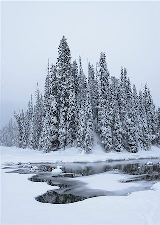parco nazionale di yoho - Snow-covered winter forest with frozen lake, Emerald Lake, Yoho National Park, UNESCO World Heritage Site, British Columbia, The Rockies, Canada, North America Fotografie stock - Premium Royalty-Free, Codice: 6119-09156525