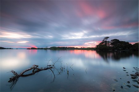 Lough Leane lake, Killarney National Park, County Kerry, Munster, Republic of Ireland, Europe Fotografie stock - Premium Royalty-Free, Codice: 6119-09161641