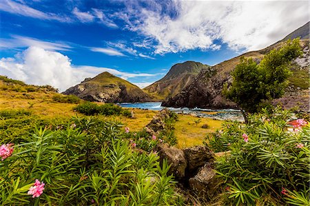 saber - Scenery in Saba, a Caribbean island, the smallest special municipality of the Netherlands, Caribbean, Central America Foto de stock - Sin royalties Premium, Código: 6119-09161730