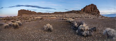 Sagebrush and a large rock formation before sunrise in the desert, Oregon, United States of America, North America Photographie de stock - Premium Libres de Droits, Code: 6119-09161862