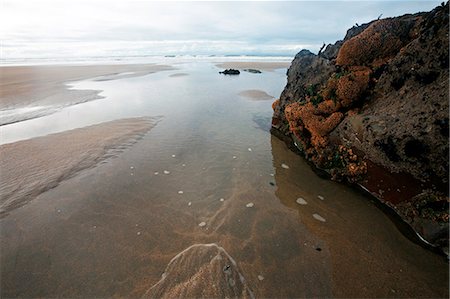 simsearch:6119-09238977,k - Low tide, Bude, Cornwall, England, United Kingdom, Europe Foto de stock - Royalty Free Premium, Número: 6119-09161953