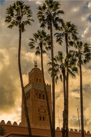 View of Koutoubia Mosque and palm trees at sunset, UNESCO World Heritage Site, Marrakesh (Marrakech), Morocco, North Africa, Africa Photographie de stock - Premium Libres de Droits, Code: 6119-09161979