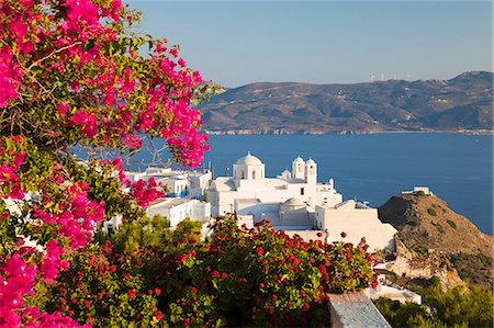 plaka - White old town of Plaka and Milos Bay with colourful bougainvillea, Plaka, Milos, Cyclades, Aegean Sea, Greek Islands, Greece, Europe Photographie de stock - Premium Libres de Droits, Code: 6119-09161996