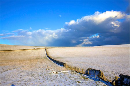 Snow covered South Downs farm land, East Dean, East Sussex, England, United Kingdom, Europe Photographie de stock - Premium Libres de Droits, Code: 6119-09169979