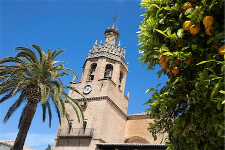 simsearch:6119-09170352,k - Palm tree and tower of the Iglesia de Santa Maria la Mayor, Ronda, Andalucia, Spain, Europe Foto de stock - Sin royalties Premium, Código: 6119-09170346