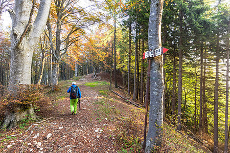 simsearch:6119-09182975,k - Hiker in the woods during autumn, Piani Resinelli, Valsassina, Lecco province, Lombardy, Italy, Europe Foto de stock - Sin royalties Premium, Código: 6119-09182488