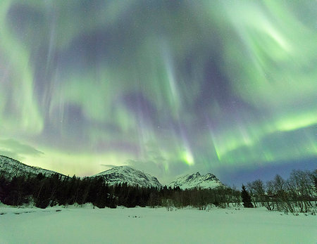 Panoramic of Northern Lights (Aurora borealis), Skoddebergvatnet, Grovfjord, Troms county, Lofoten Islands, Nordland, Norway, Europe Stock Photo - Premium Royalty-Free, Code: 6119-09182533