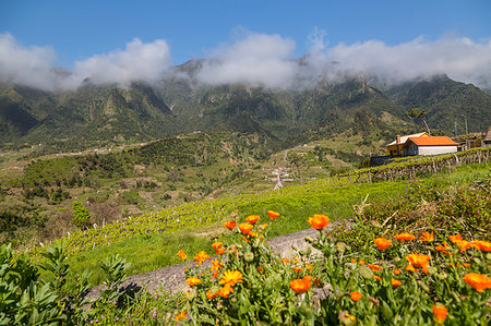 View of scenery between Sao Vicente and Funchal, Madeira, Portugal, Atlantic, Europe Photographie de stock - Premium Libres de Droits, Code: 6119-09182975