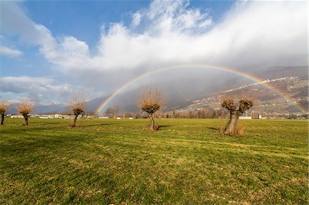 rainbow landscape not person - Rainbow on bare trees, Cosio Valtellino, Sondrio province, Valtellina, Lombardy, Italy, Europe Stock Photo - Premium Royalty-Free, Code: 6119-09101724