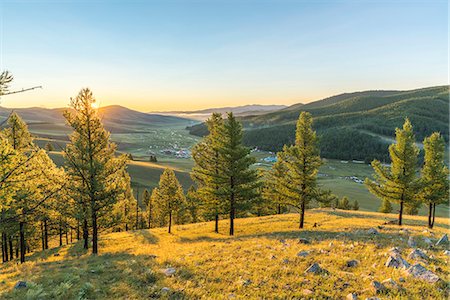 fir trees - Fir trees in the morning light above Tsenkher Hot Springs, North Hangay province, Mongolia, Central Asia, Asia Stock Photo - Premium Royalty-Free, Code: 6119-09101845