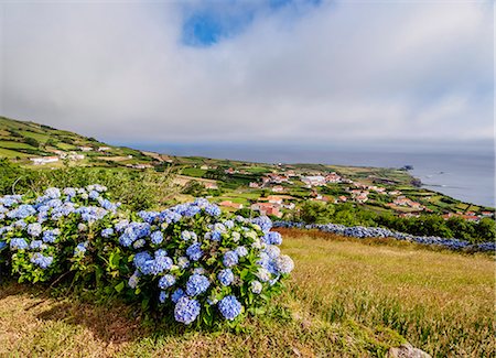 portuguese culture - Ponta Delgada, elevated view, Flores Island, Azores, Portugal, Atlantic, Europe Stock Photo - Premium Royalty-Free, Code: 6119-09127044