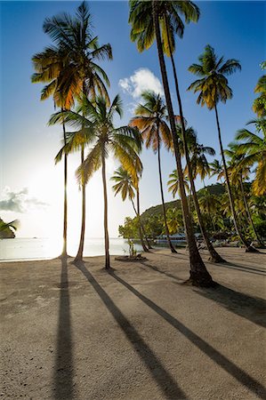 Tall palms and long shadows on the small beach at Marigot Bay, St. Lucia, Windward Islands, West Indies Caribbean, Central America Stock Photo - Premium Royalty-Free, Code: 6119-09127131