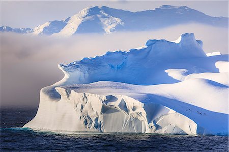 Penguins on a huge non-tabular iceberg, mountains, evening light and mist, Bransfield Strait, South Shetland Islands, Antarctica, Polar Regions Foto de stock - Sin royalties Premium, Código: 6119-09134732