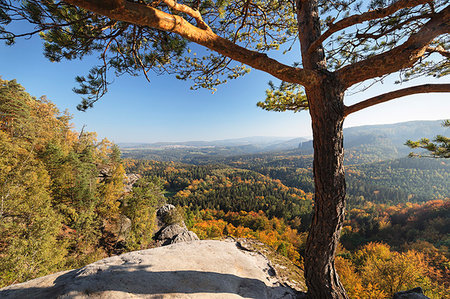 simsearch:6119-09252751,k - View from Schrammsteine rocks to Hohe Liebe mountain in Elbe Sandstone Mountains, Germany, Europe Fotografie stock - Premium Royalty-Free, Codice: 6119-09252750